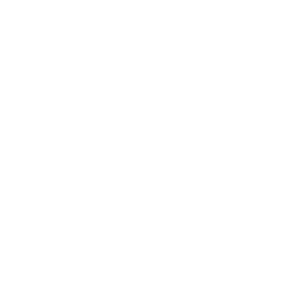 Citizen Builders